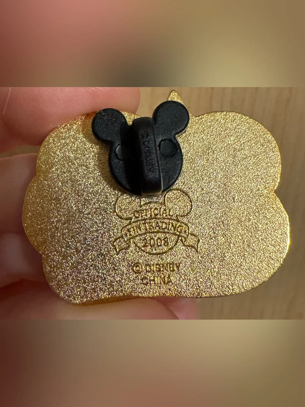 2008 Grand Floridian Disney Pin